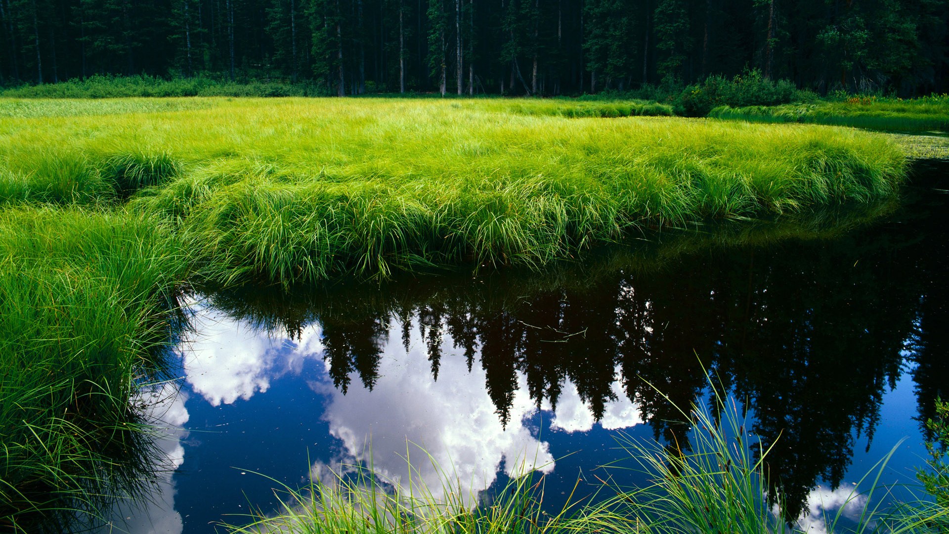 扎卡里·里萨谢在NBA常规赛中砍下38分,扎卡里亚斯