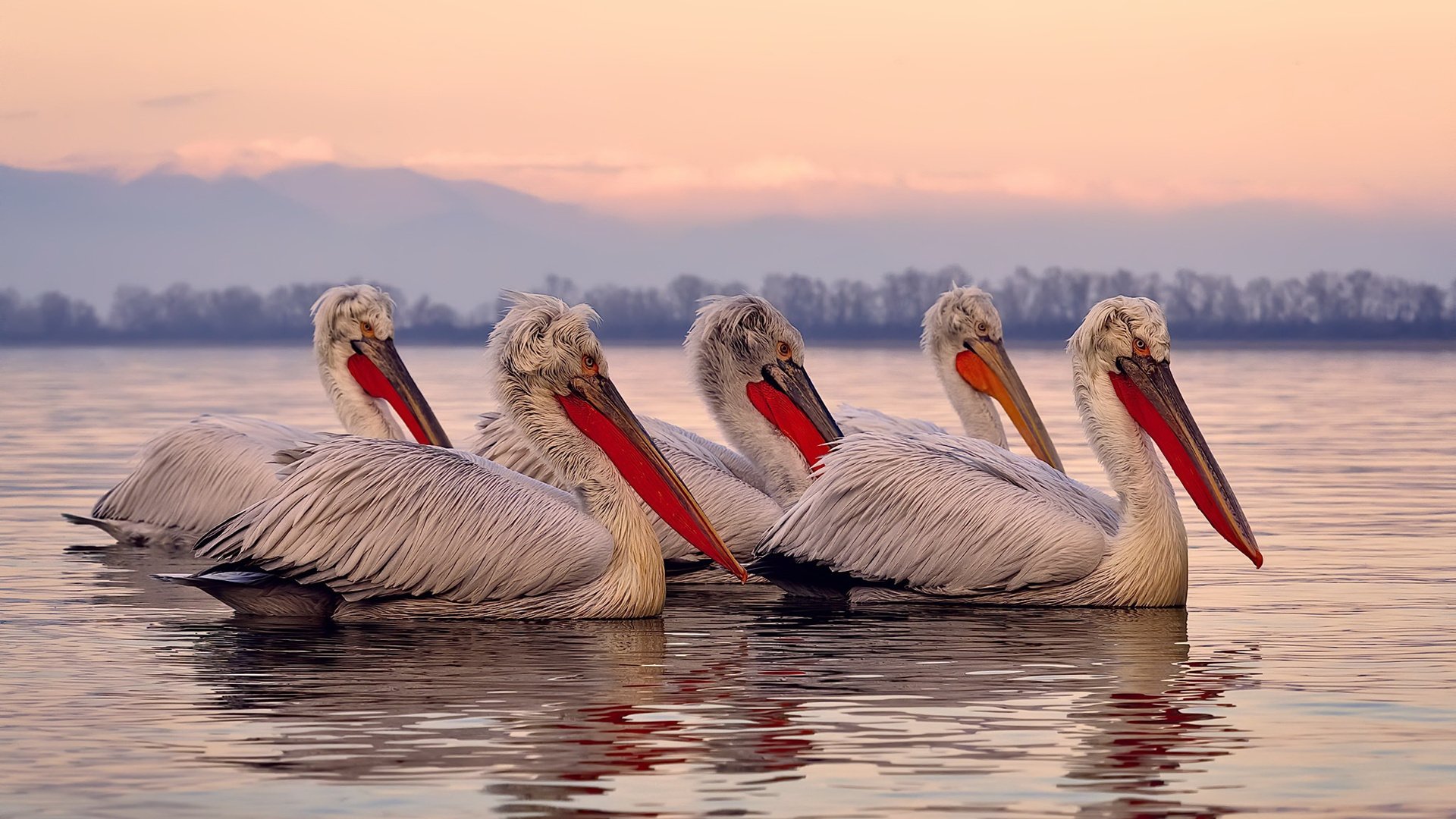 开云官网-NBA球员成立环保联盟，致力于推动绿色球馆建设，绿色的nba球队