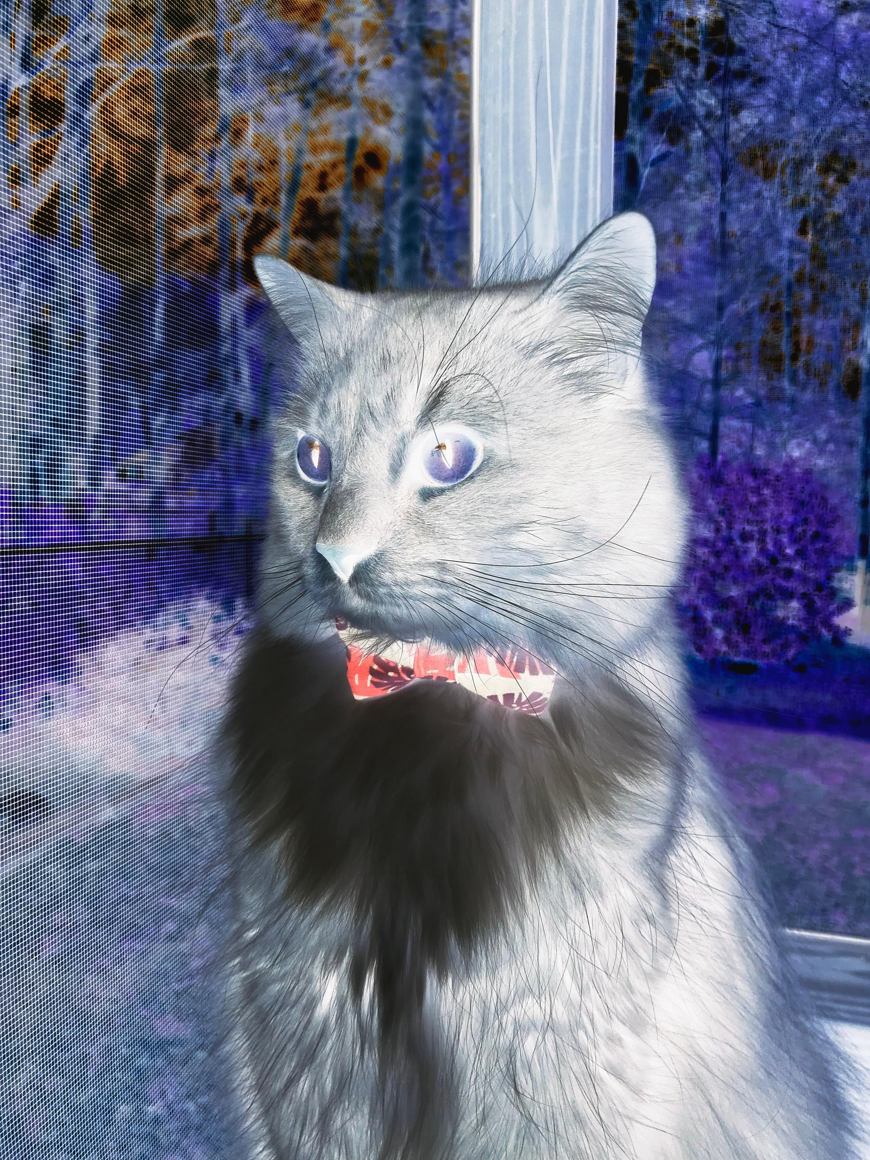 开云·体育全站登录地址-_勇士三分雨不停，战绩节节高升_，勇士三分庆祝动作