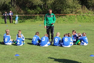 开云LOL-德甲球队战术模拟平台辅助比赛策略调整的应用研究，德甲游戏